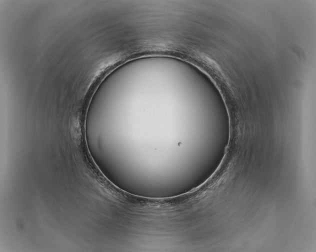 X0000111671218200907311151