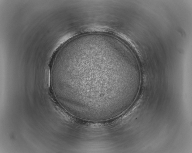 X0000111671219200907311151