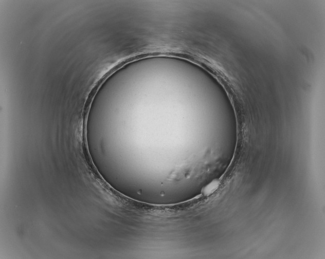 X0000111671220200907311151