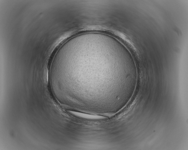 X0000111671221200907311151