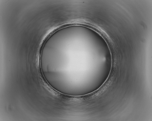 X0000111671224200907311152