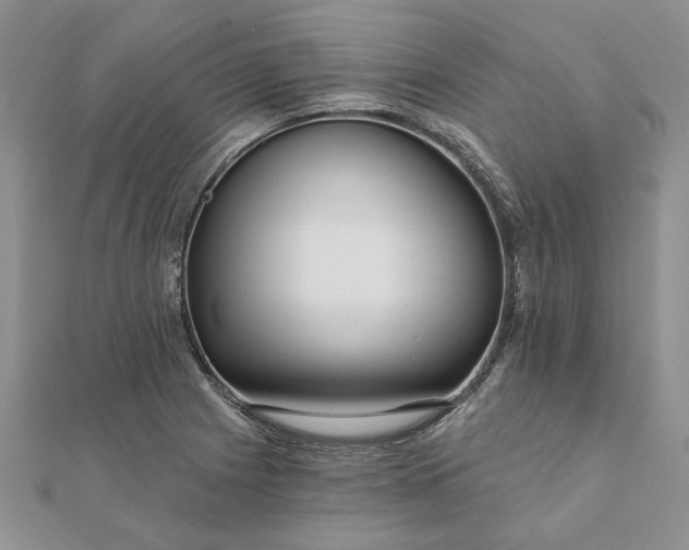 X0000111671225200907311152