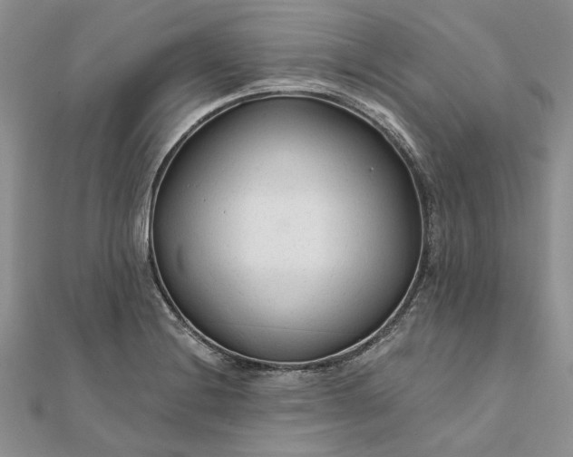 X0000111671228200907311152