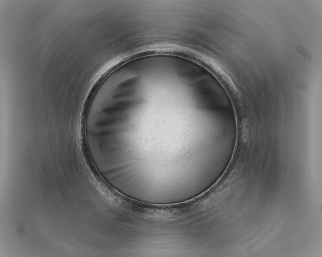 X0000111671229200907311152