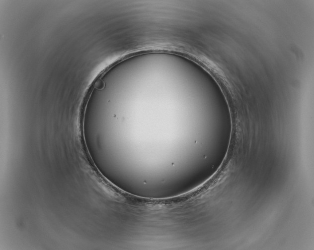 X0000111671230200907311152