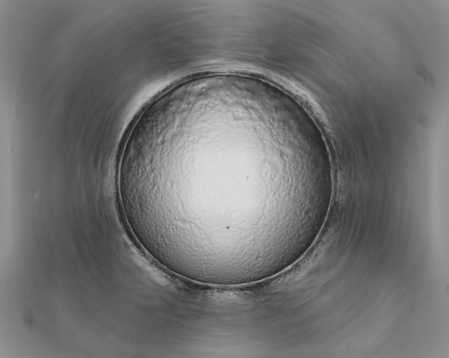 X0000111671231200907311152