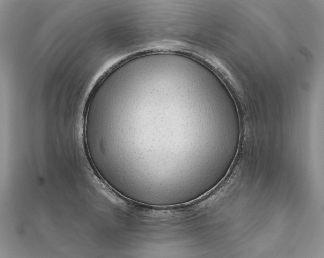 X0000111671232200907311152