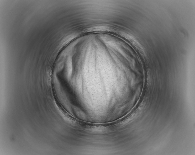 X0000111671233200907311152