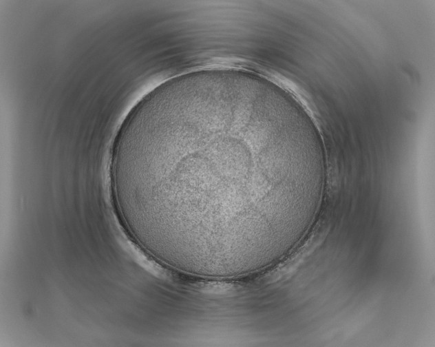 X0000111671235200907311152