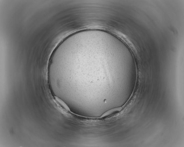 X0000111671236200907311152