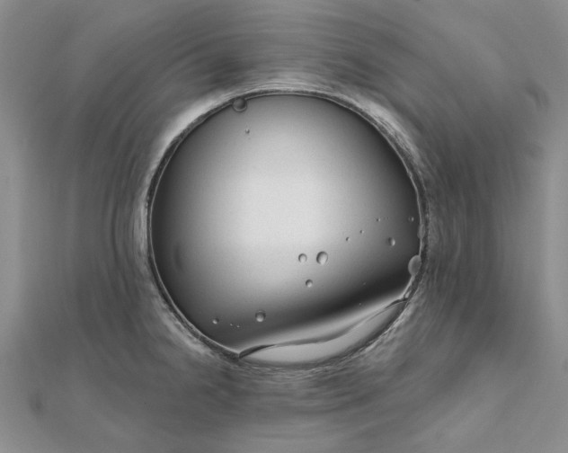 X0000111671238200907311152