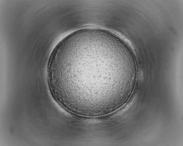 X0000111671239200907311152