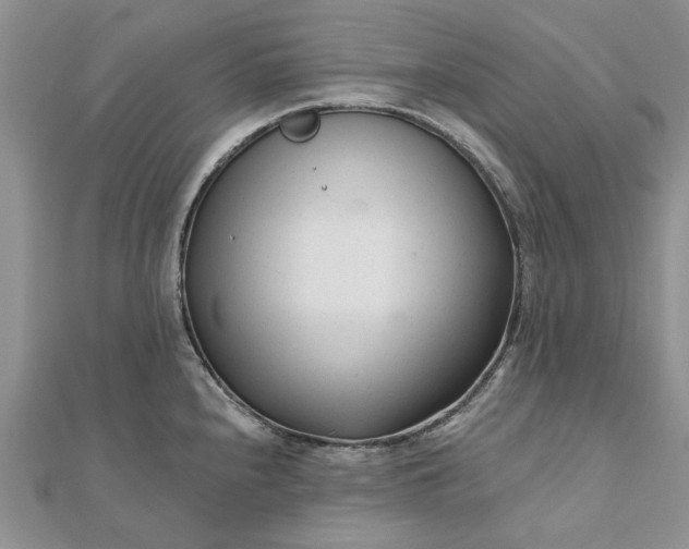 X0000111671240200907311152