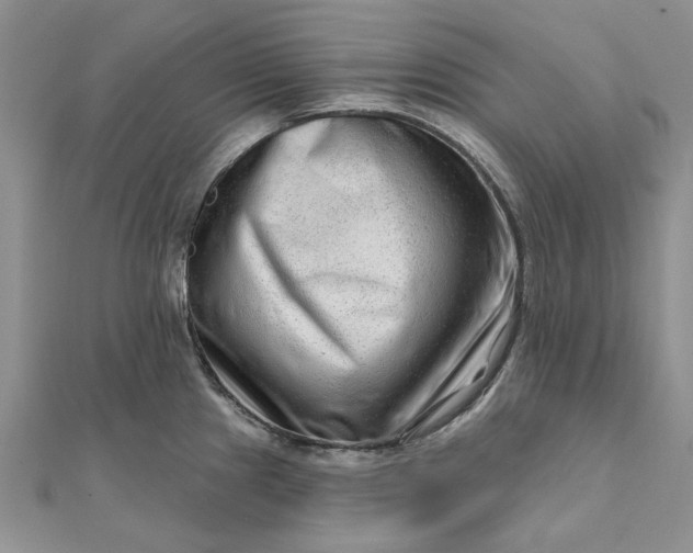 X0000111671241200907311152