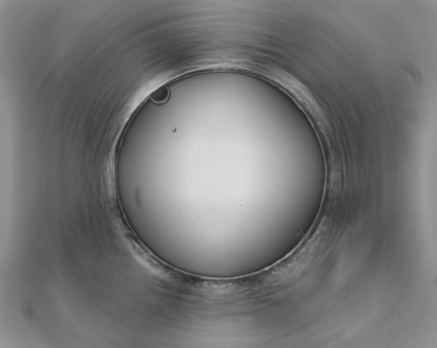 X0000111671242200907311152