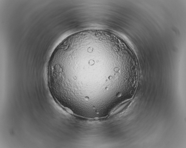 X0000111671243200907311152