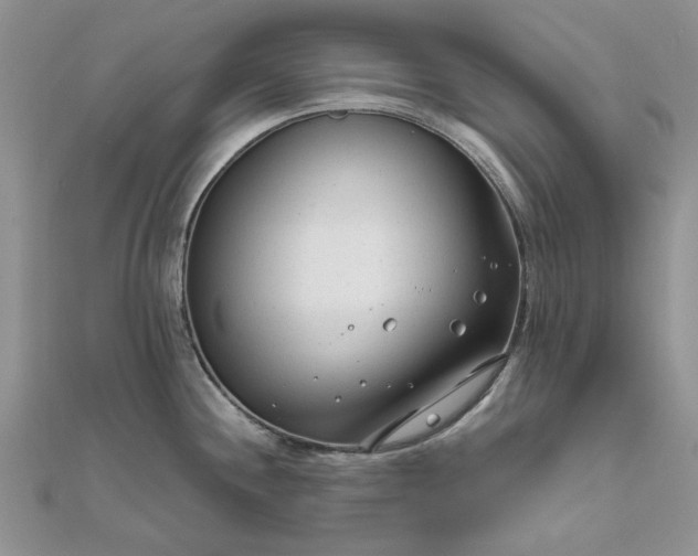 X0000111671244200907311152