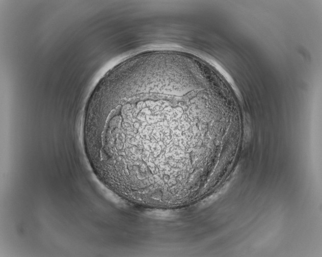 X0000111671245200907311152