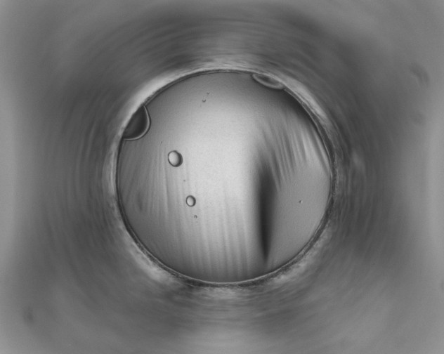 X0000111671246200907311152