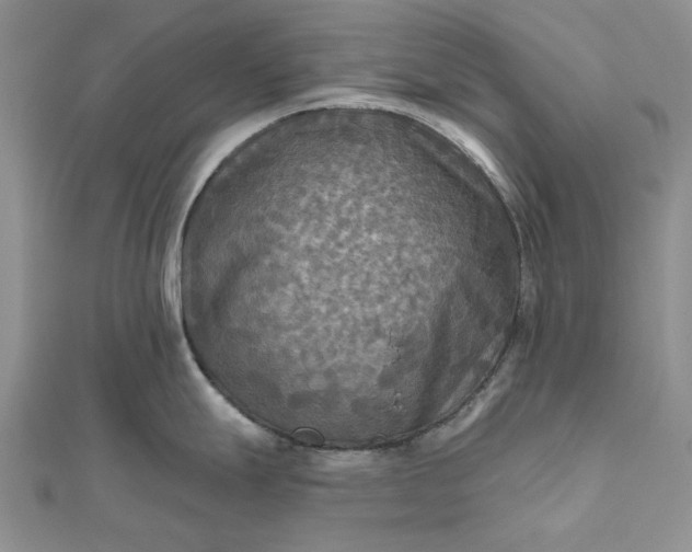 X0000111671247200907311152