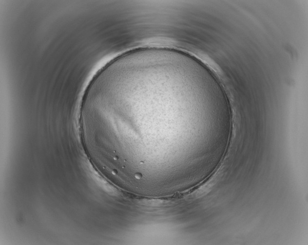 X0000111671248200907311152