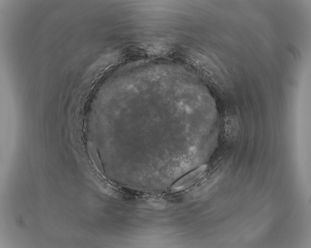 X0000111671249200907311151