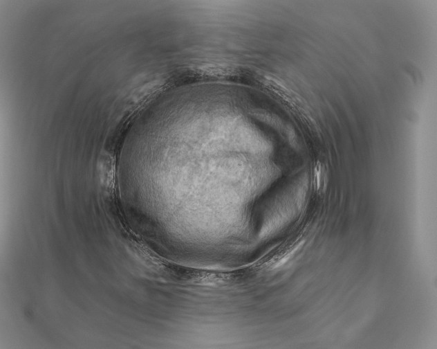 X0000111671251200907311151