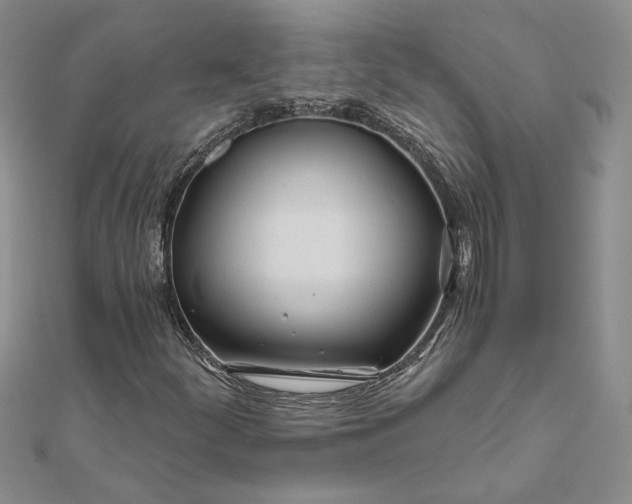 X0000111671252200907311151