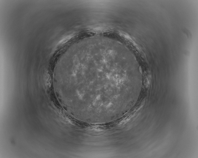 X0000111671253200907311151