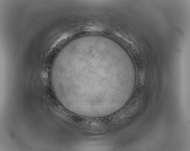 X0000111671254200907311151