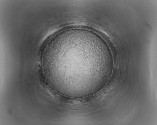 X0000111671255200907311151