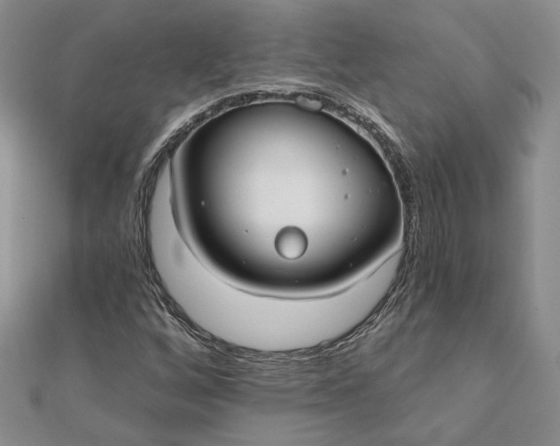 X0000111671256200907311151