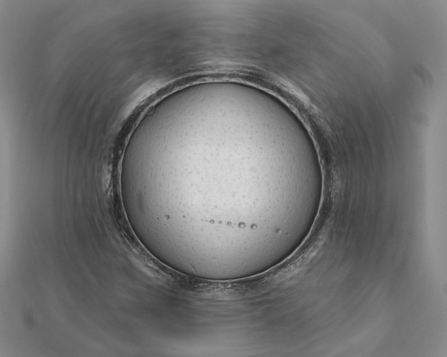 X0000111671259200907311151