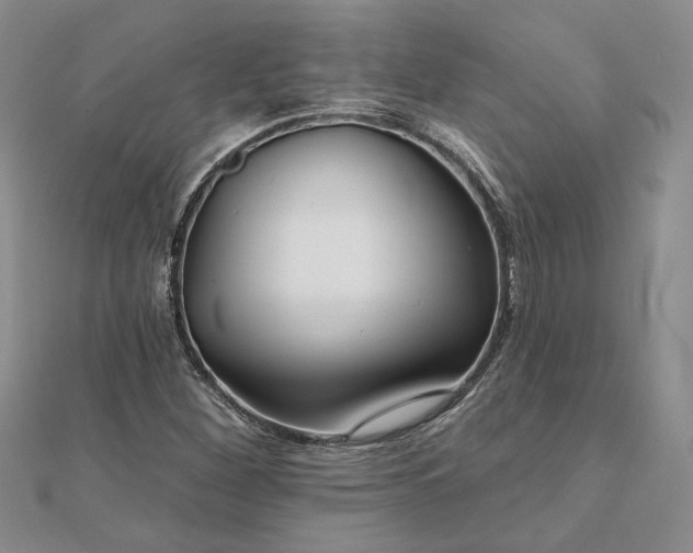 X0000111671260200907311151