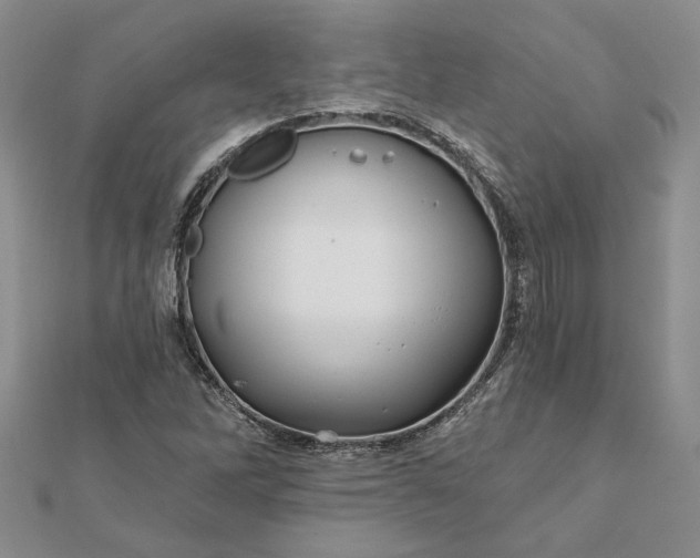 X0000111671262200907311151