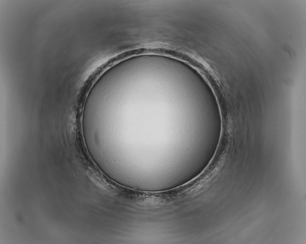 X0000111671263200907311151