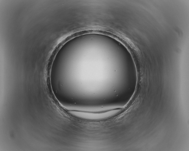 X0000111671264200907311151