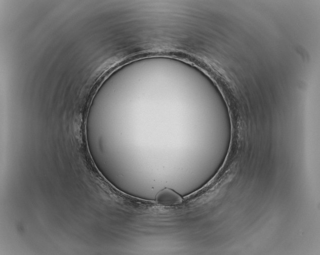 X0000111671265200907311151