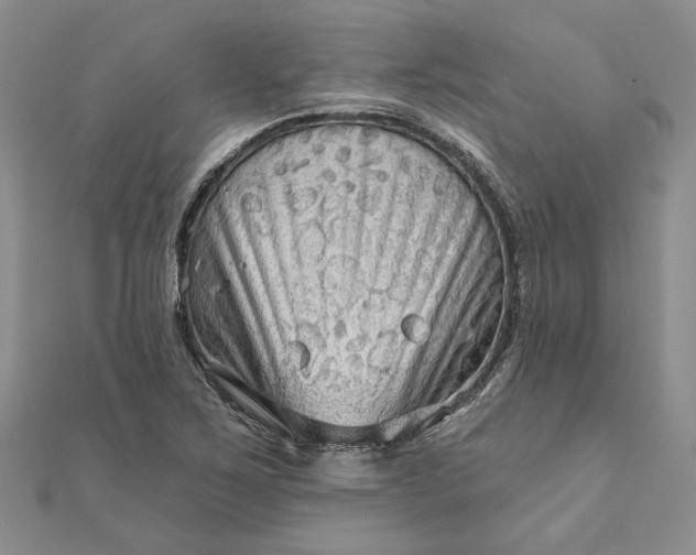 X0000111671267200907311151