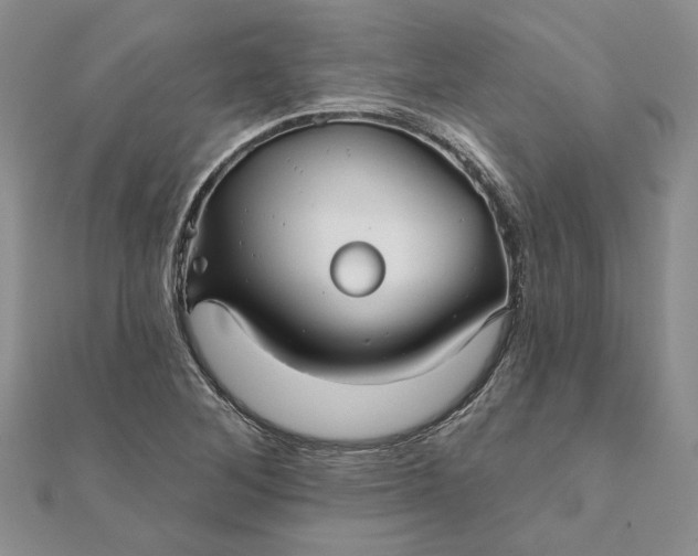 X0000111671268200907311151