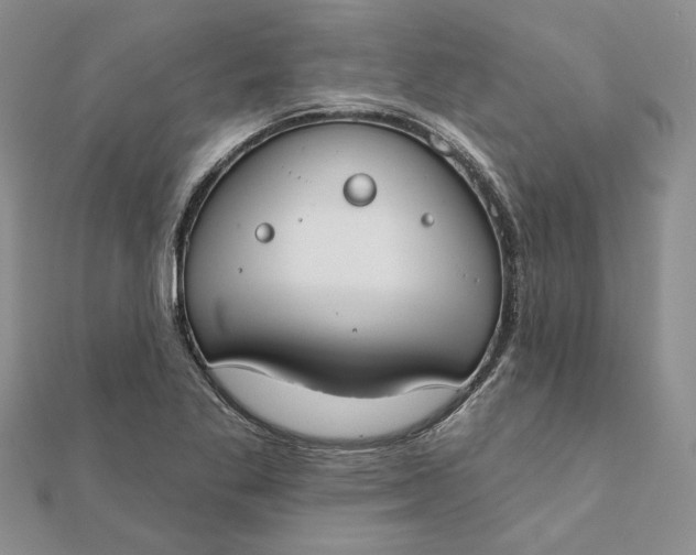 X0000111671269200907311151