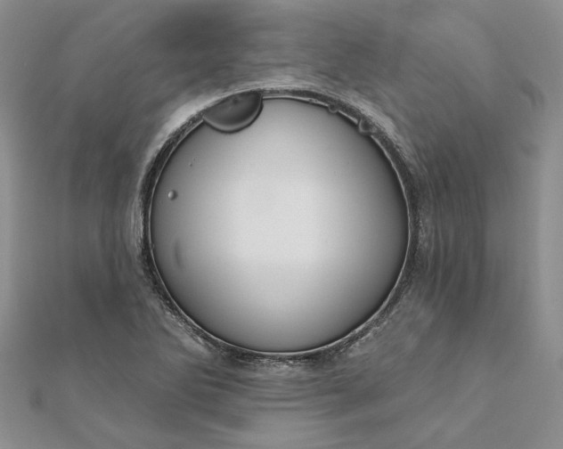 X0000111671270200907311151