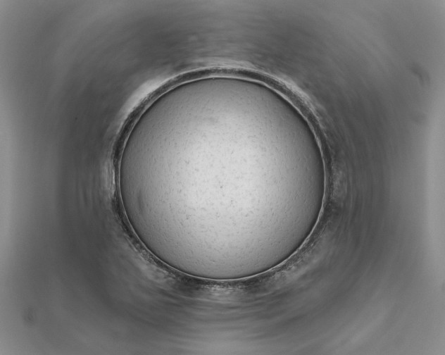 X0000111671271200907311151