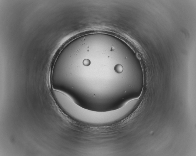 X0000111671272200907311151