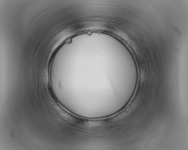 X0000111671274200907311151