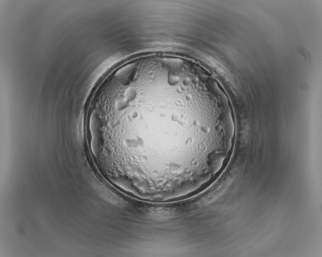 X0000111671275200907311151