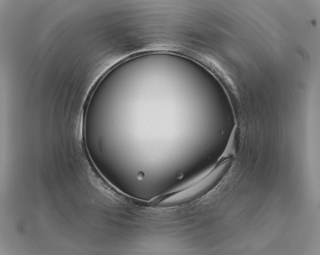 X0000111671276200907311151