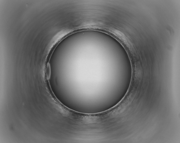 X0000111671277200907311151