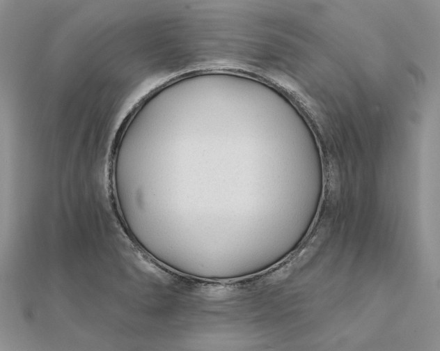 X0000111671278200907311151