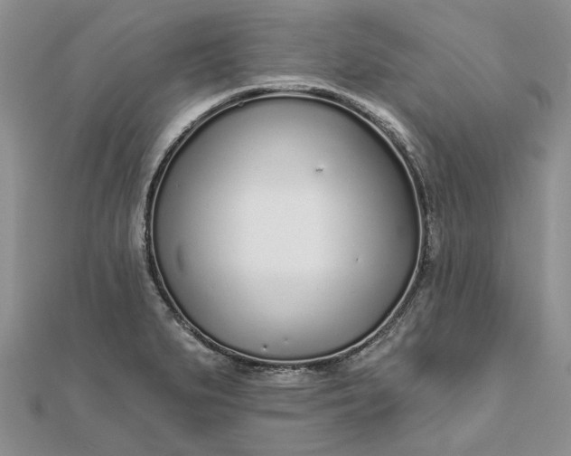 X0000111671279200907311151